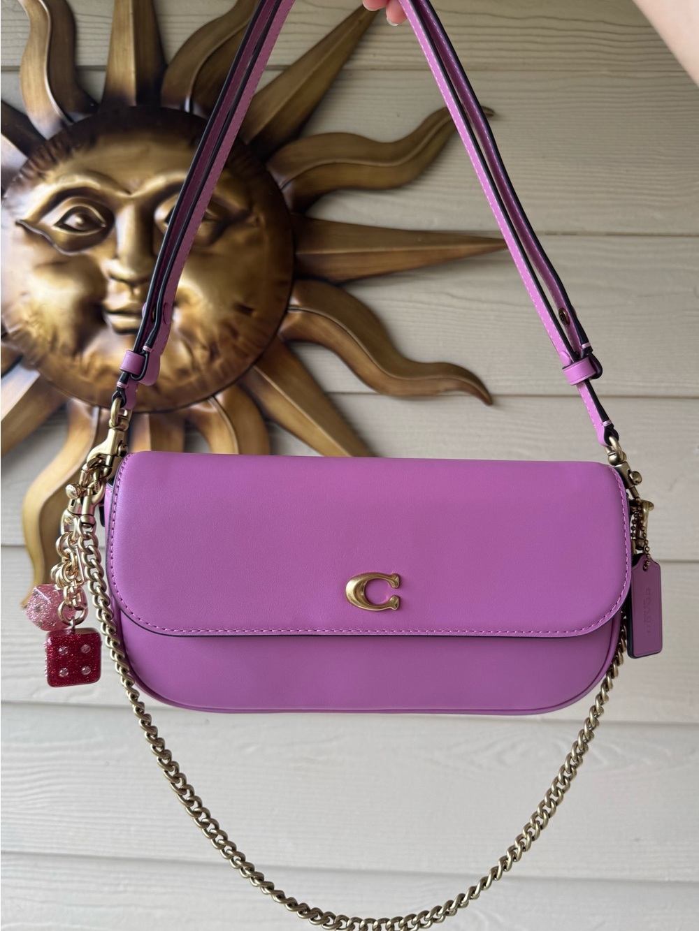 Coach brook flap chain bag